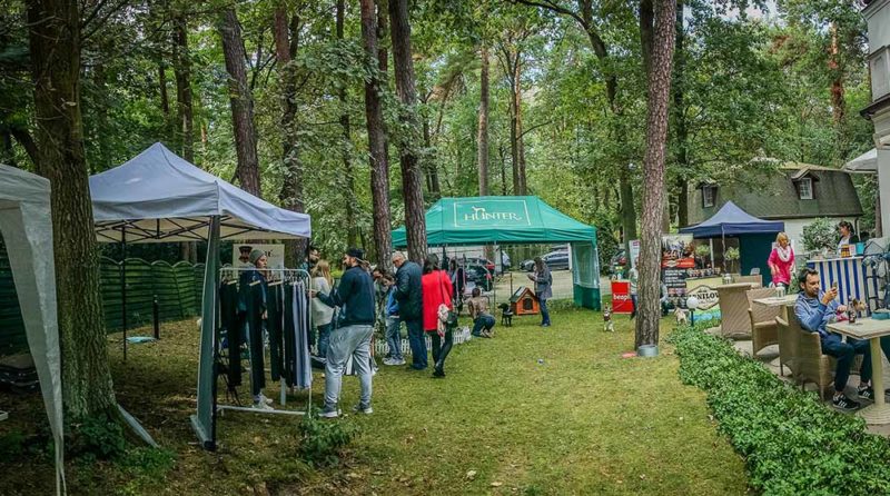 frenczi dla schroniska ubranka dla buldoga