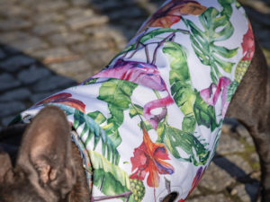 Kurtka przeciwdeszczowa dla psa marki Frenczi. Zdjęcie ubranka dla psa na miarę. Wzór Flamingi.