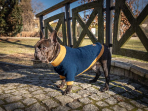 sweter wełniany Frenczi ubranka dla psów