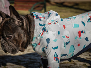 bluza Frenczi ubranka dla psów