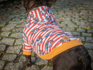 bluza świąteczna Frenczi ubranka dla psów