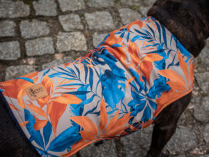 Kurtka przeciwdeszczowa dla psa marki Frenczi. Zdjęcie ubranka dla psa na miarę. Wzór Jesienne liście