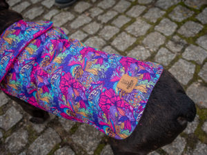 Kurtka przeciwdeszczowa dla psa marki Frenczi. Zdjęcie ubranka dla psa na miarę. Wzór Bright flowers