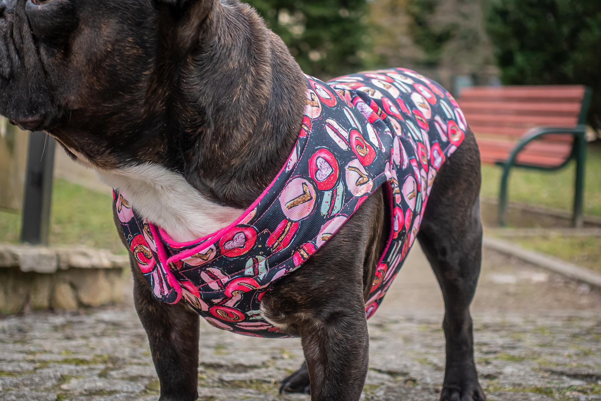 Kurtka przeciwdeszczowa dla psa marki Frenczi. Zdjęcie ubranka dla psa na miarę. Wzór Valentines