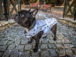 Kurtka przeciwdeszczowa dla psa marki Frenczi. Zdjęcie ubranka dla psa na miarę. Wzór Lamy