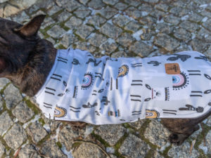 Kurtka przeciwdeszczowa dla psa marki Frenczi. Zdjęcie ubranka dla psa na miarę. Wzór Lamy