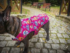 Kurtka przeciwdeszczowa dla psa marki Frenczi. Zdjęcie ubranka dla psa na miarę. Wzór Dia de los Muertos