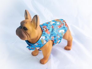 Kurtka przeciwdeszczowa dla psa marki Frenczi. Zdjęcie ubranka dla psa na miarę. Wzór Alpaki