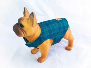 Kurtka przeciwdeszczowa dla psa marki Frenczi. Zdjęcie ubranka dla psa na miarę. Wzór Zielona krata