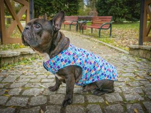 Kurtka przeciwdeszczowa dla psa marki Frenczi. Zdjęcie ubranka dla psa na miarę. Wzór Kolorowe Łuski